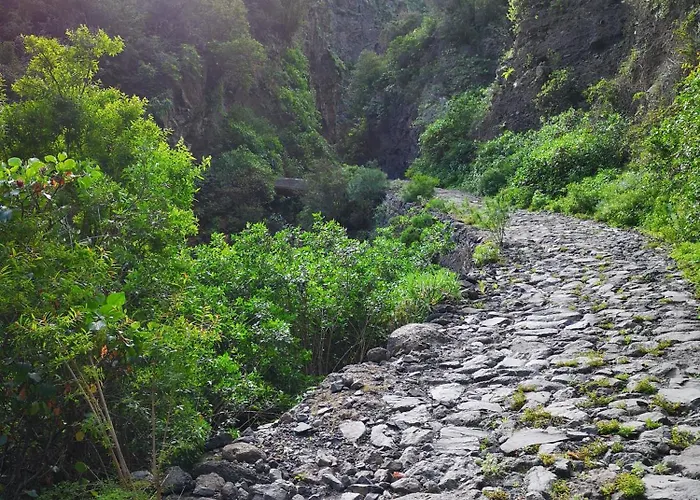 Апартаменты Biltmore Relax House *