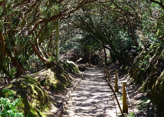 Апартаменты Biltmore Relax House Сан Мигель