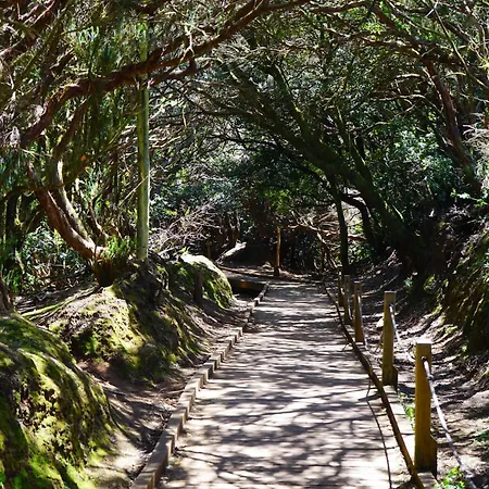 公寓 Biltmore Relax House 圣米格尔德阿沃纳
